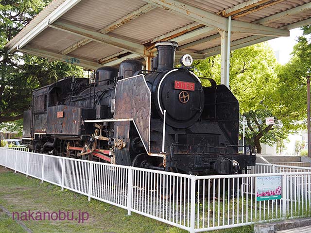C11-66